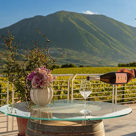 Giardino Delle Oche - Ocone Taburno Wine County Ponte (Benevento)